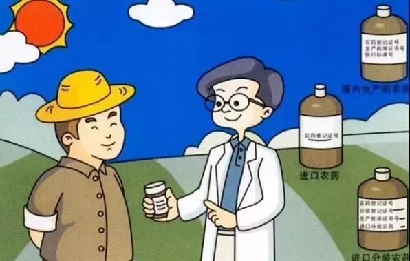 瓜果蔬菜農殘經常超規超標的原因-農藥殘留檢測儀