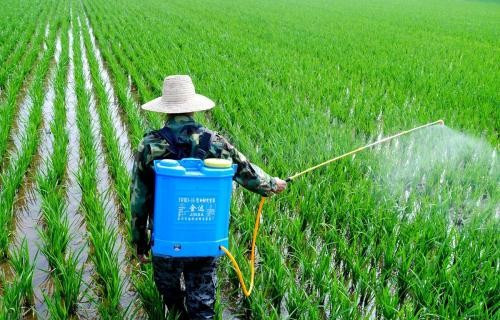 測果蔬只需5分鐘的農藥殘留檢測儀