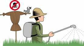 農藥殘留 農藥殘留