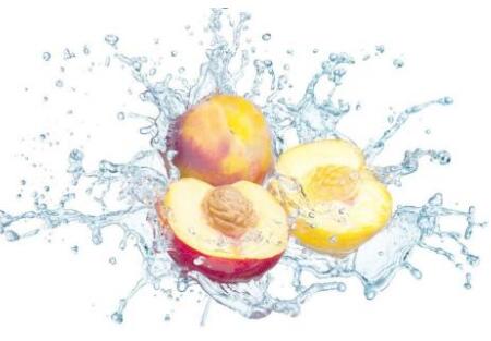 農藥殘留檢測儀 農藥殘留檢測儀