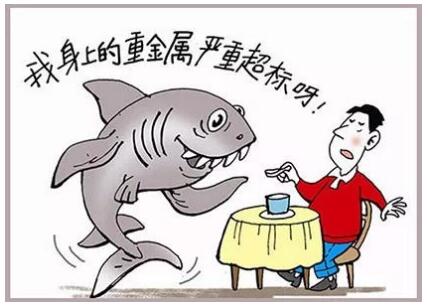 食品檢測(cè)儀 食品檢測(cè)儀