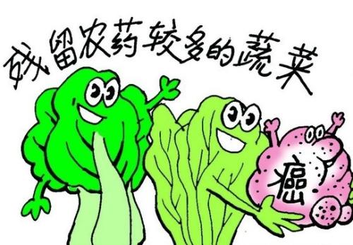 食品安全 食品安全