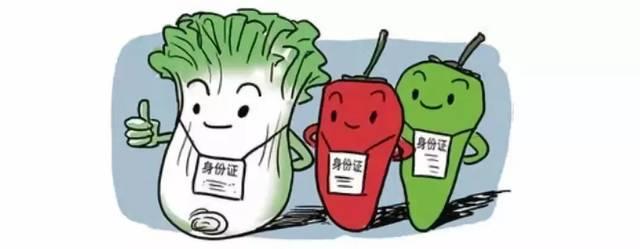 農藥殘留 農藥殘留