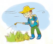 景洪市開展節(jié)前食品安全檢查