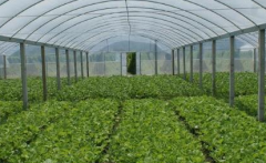 農(nóng)殘檢測儀的積極作用以及廠家選擇？