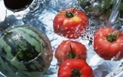 農殘儀器成為許多家庭的選擇