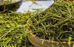 茶葉農殘速測儀助力茶葉品質提升