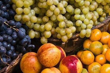 食品安全速測儀 食品安全速測儀