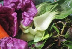 食品安全速測儀有什么優勢？