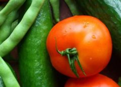 食品快檢儀器加快農產品檢測效率