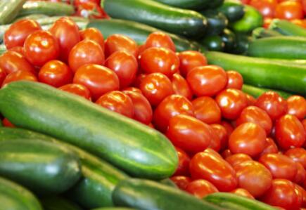 食品添加劑檢測儀 食品添加劑檢測儀