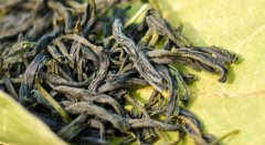 茶葉農殘儀提高茶葉出口品質