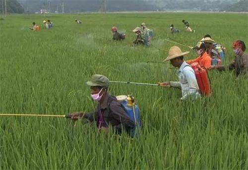 農(nóng)藥殘留檢測(cè)儀 農(nóng)藥殘留檢測(cè)儀