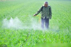 旋轉式農藥殘留檢測儀深受大眾歡迎