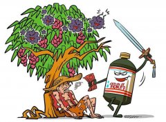 農藥殘留速測儀保障消費者菜籃子安全